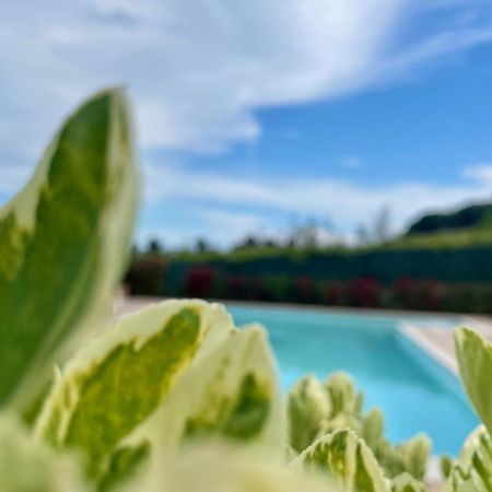 Vigneto - Italian Restaurant & B&B Villa Rosa Di Martinsicuro Εξωτερικό φωτογραφία