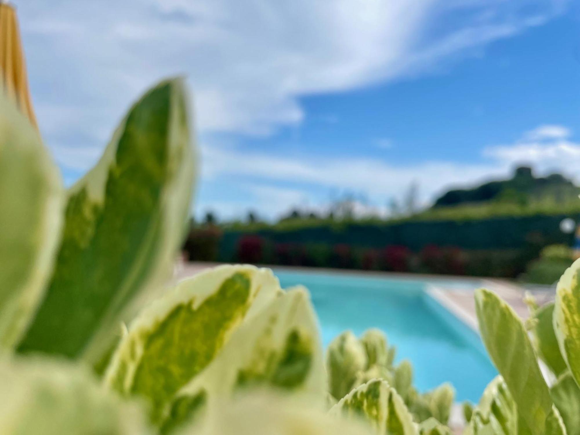 Vigneto - Italian Restaurant & B&B Villa Rosa Di Martinsicuro Εξωτερικό φωτογραφία