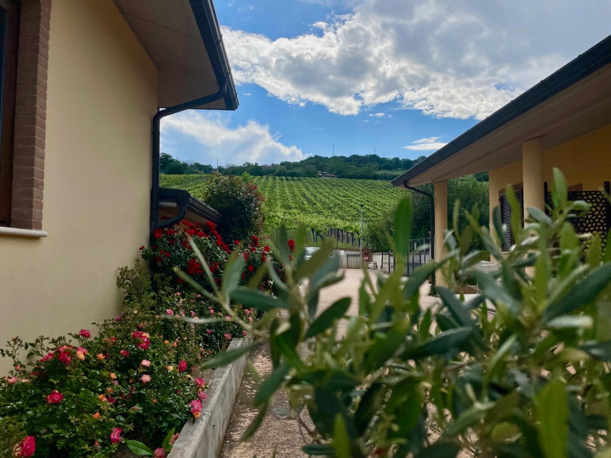 Vigneto - Italian Restaurant & B&B Villa Rosa Di Martinsicuro Εξωτερικό φωτογραφία